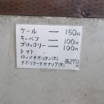 数量限定・野菜苗販売開始しました🥦
